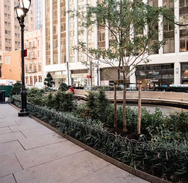 The garden among the buildings of Lower Manhattan